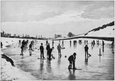 体育成就共享平台